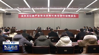 全市百亿级产业项目招商引资攻坚行动推进会召开