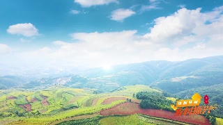 我为九江乡村代言——共青城市