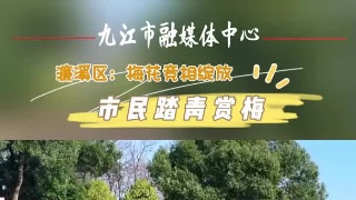 濂溪区：梅花竞相绽放 市民踏青赏梅