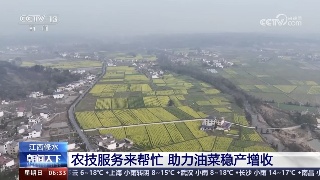 【央媒看九江】央视报道：《江西修水 农技服务来帮忙 助力油菜稳产增收》