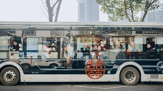 【3•14早安丨九江】九江正式推出“公交婚车”啦；九江一4A级景区面向境内外游客免门票；九江这场百年庙会开始了
