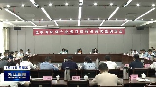 全市百亿级产业项目招商引资攻坚调度会召开