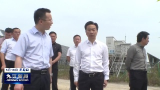 市领导调研督导农业领域生态环境保护问题整改工作