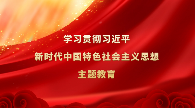 学习贯彻习近平新时代中国特色社会主义思想主题教育