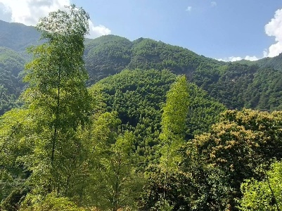 老房拆除后想重建 目前已进入审批程序