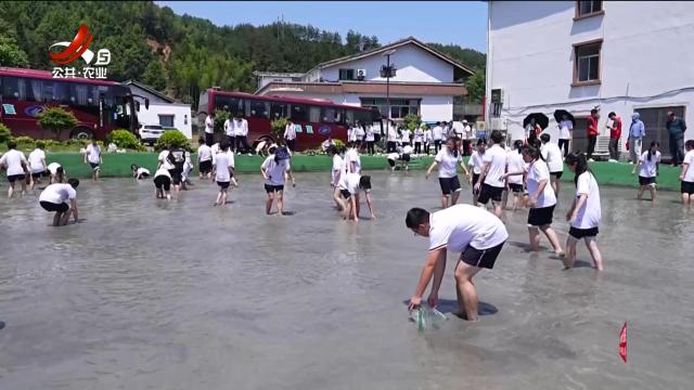 三农头条20240526
