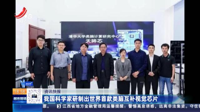 我国科学家研制出世界首款类脑互补视觉芯片