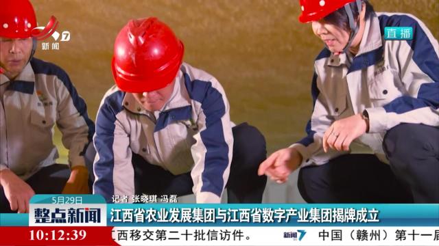 江西省农业发展集团与江西省数字产业集团揭牌成立
