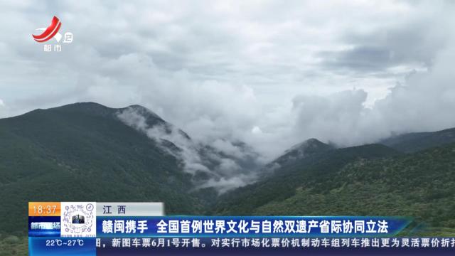 都市现场20240530