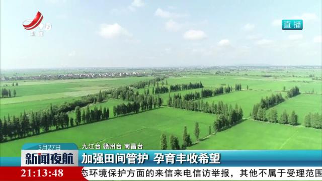 加强田间管护 孕育丰收希望