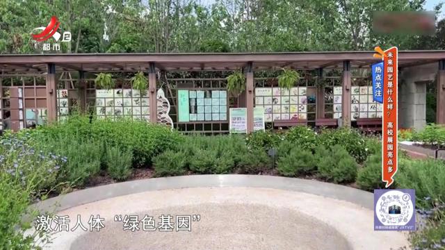 地宝当家20240529