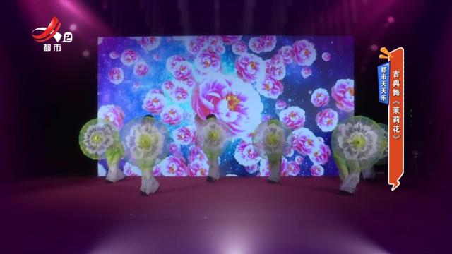 都市天天乐——古典舞《茉莉花》