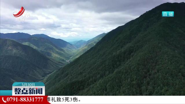 扩绿新绿护绿 共建美丽江西