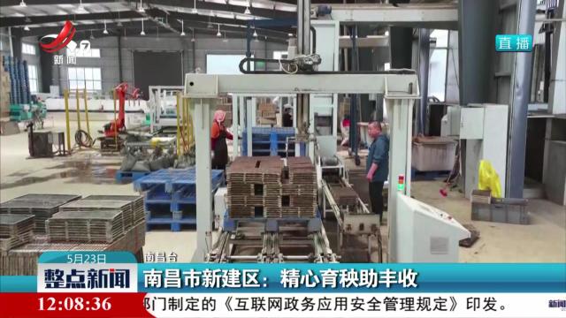 南昌市新建区：精心育秧助丰收
