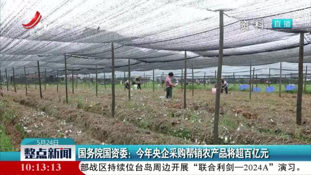 国务院国资委：今年央企采购帮销农产品将超百亿元