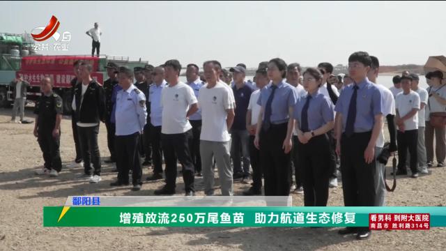 三农头条20240530