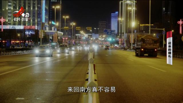 乡村栏目剧场20240524 迟来的婚礼