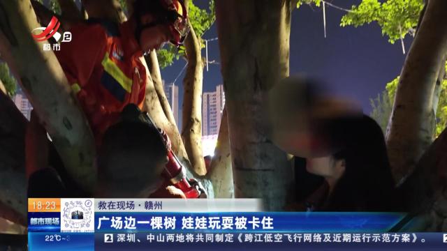 【救在现场】赣州：广场边一棵树 娃娃玩耍被卡住