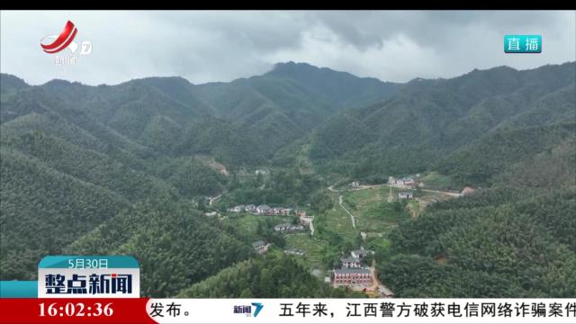 与“鯢”同行 在乡村振兴一线绽放青春力量