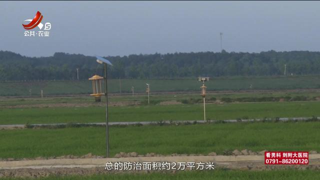 三农头条20240528
