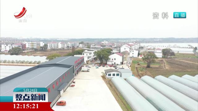 国务院国资委：今年央企采购帮销农产品将超百亿元