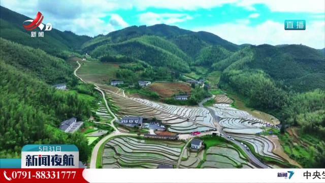 崇义上堡梯田开犁：领略秀美风光 传承农耕文化