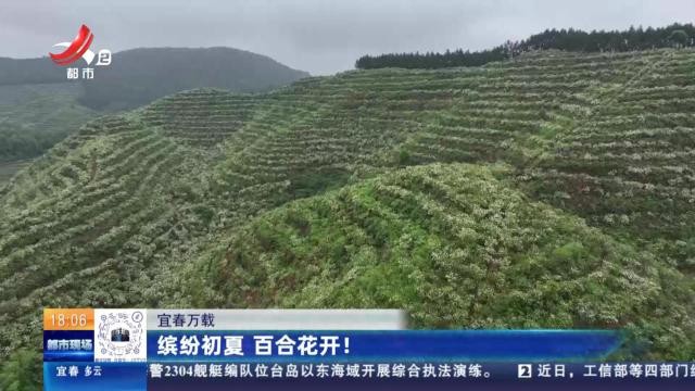 都市现场20240524