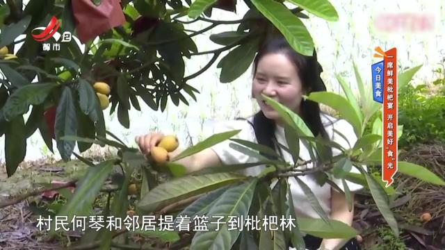 今日美食：一席鲜美枇杷宴 开启美好“食”光