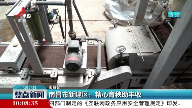 南昌市新建区：精心育秧助丰收