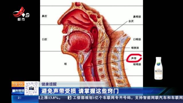 健康提醒：避免声带受损 请掌握这些窍门