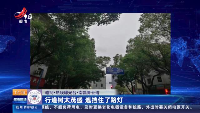 【赣问·热线曝光台】南昌青云谱：行道树太茂盛 遮挡住了路灯