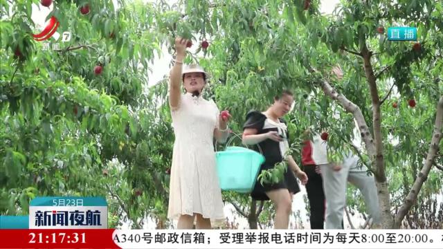 体验采摘乐趣 分享丰收喜悦