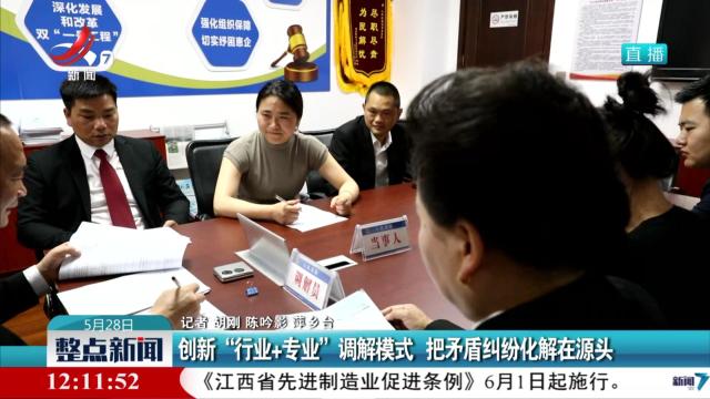 创新“行业+专业”调解模式 把矛盾纠纷化解在源头