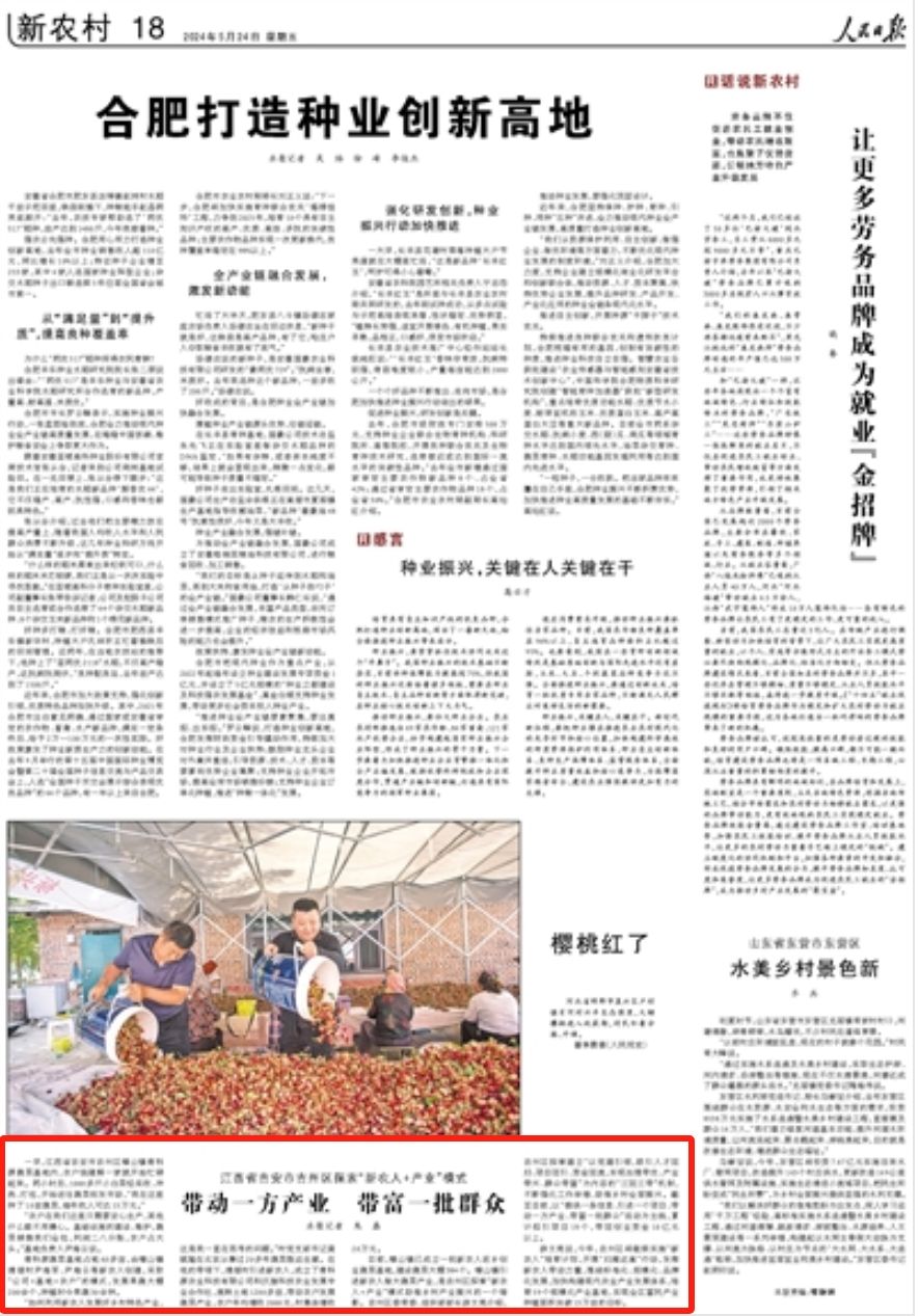 《人民日报》报道江西吉安吉州区：带动一方产业 带富一批群众