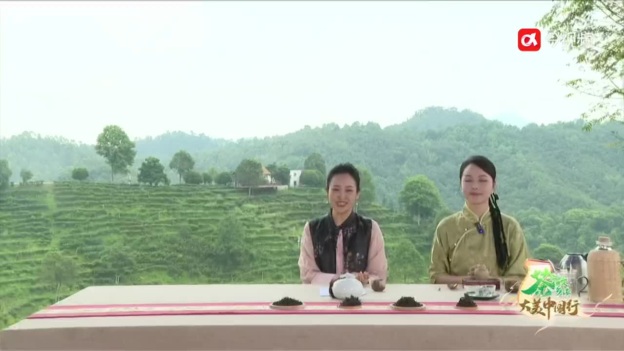 2024国际茶日联动直播：江西婺源绿茶 邀您共品绿茶之美