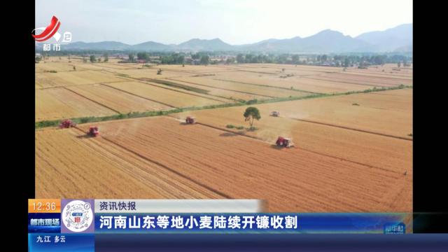 河南山东等地小麦陆续开镰收割