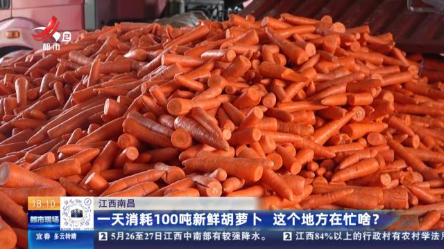 江西南昌：一天消耗100吨新鲜胡萝卜 这个地方在忙啥？