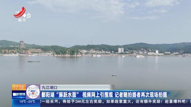 九江湖口：鄱阳湖“豚跃水面”视频网上引围观 记者随拍摄者再次现场拍摄