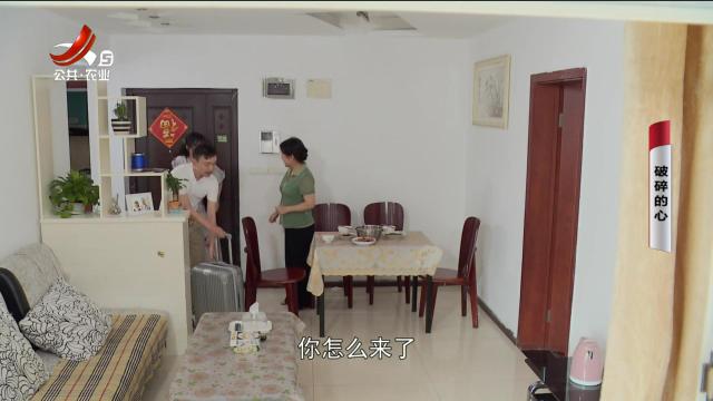 乡村栏目剧场20240530 破碎的心