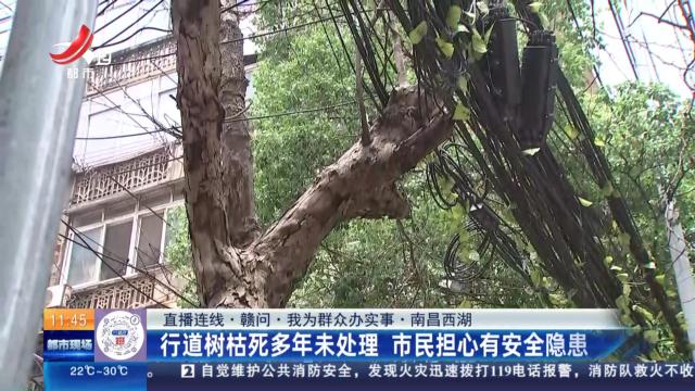 都市现场·午间版20240523