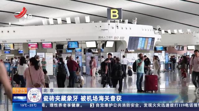 北京：瓷砖夹藏象牙 被机场海关查获