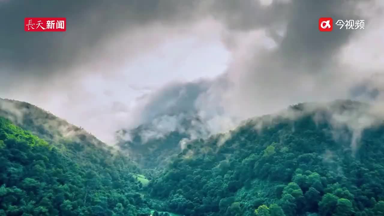 身入云端 心归自然——吉安市永新县烟阁乡黄竹岭珍之缘民宿