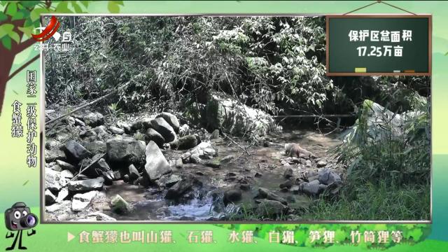 绿野秘踪20240624
