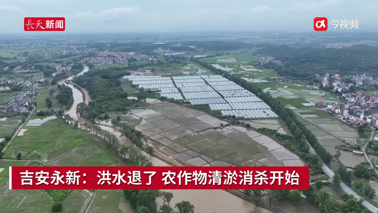 吉安永新：洪水退了 农作物清淤消杀开始