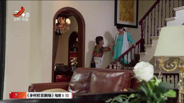 乡村栏目剧场20240621 情败双生花