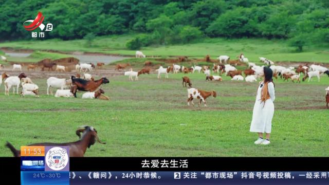 都市现场·午间版20240623