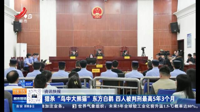 猎杀“鸟中大熊猫”东方白鹳 四人被判刑最高5年3个月