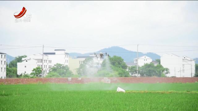 三农头条20240614