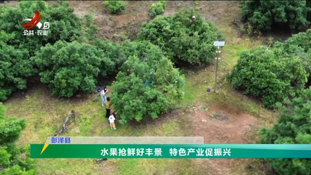 三农头条20240616