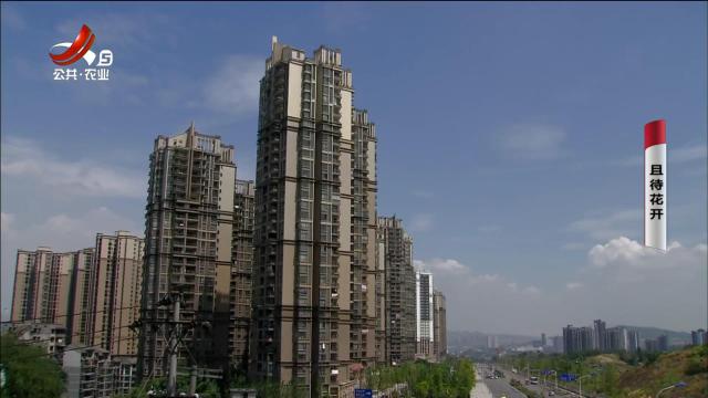 乡村栏目剧场20240605 且待花开